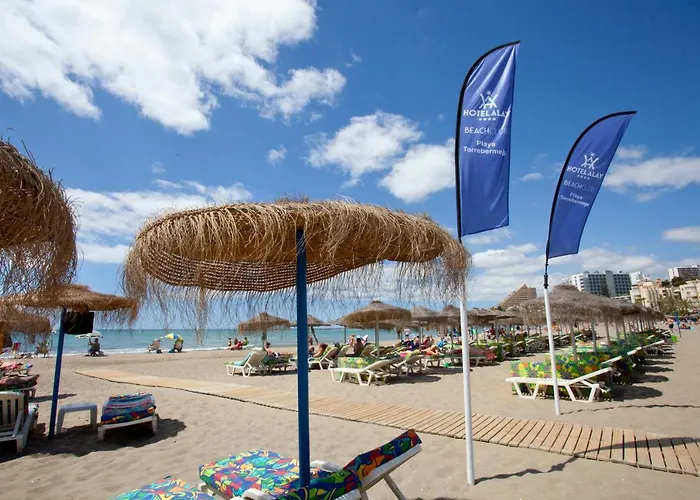 Alay - Adults Only Recommended 4*